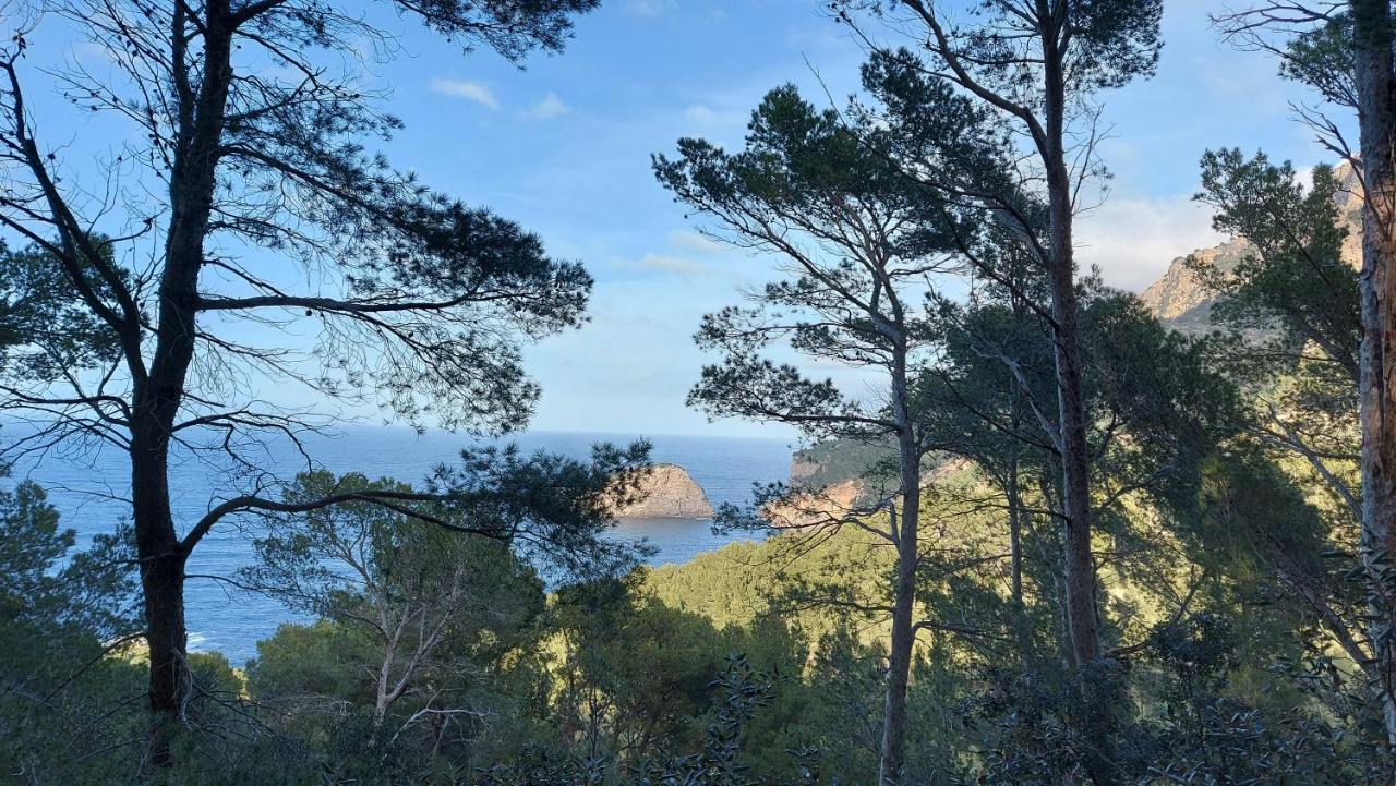Vakantiehuis Ideal Sóller
